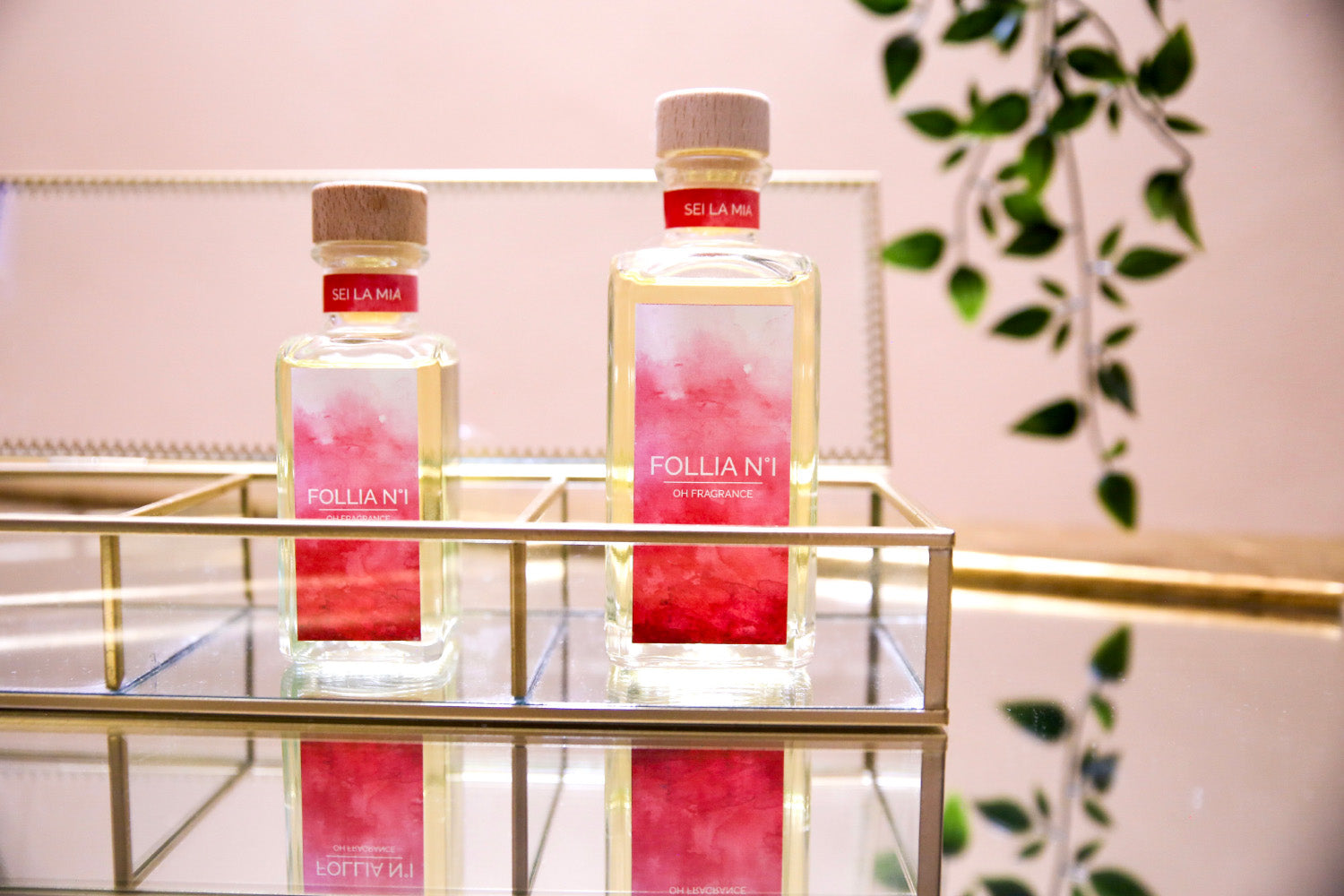 diffusori a bastoncini